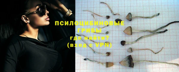 кокс Баксан