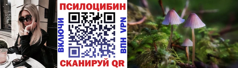 Галлюциногенные грибы MAGIC MUSHROOMS  Вятские Поляны 