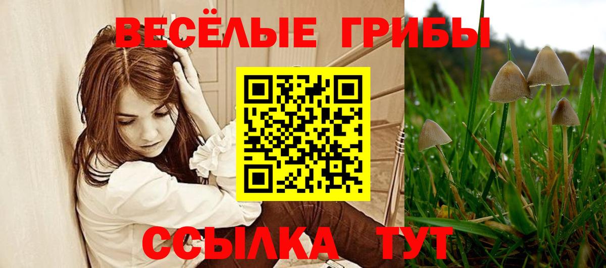 Галлюциногенные грибы Psilocybine cubensis  купить наркотики цена  Вятские Поляны  Вход с VPN 